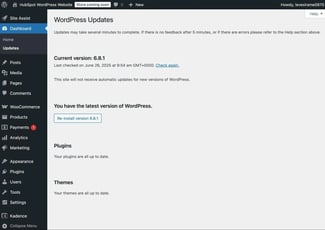 how to manage wordpress updates.