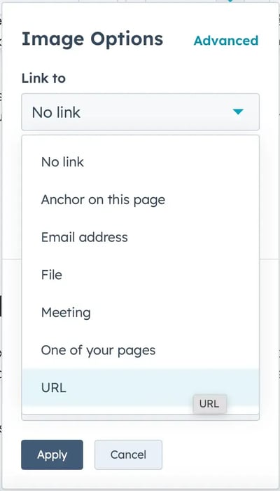 image option menu for adding html image link