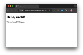 html for beginners, open your html file