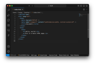 html for beginners, write your html code