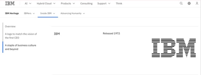 ibm brand identity