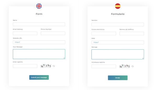 Gravity form builder form options