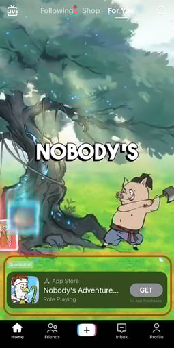 Nobody's adventure game