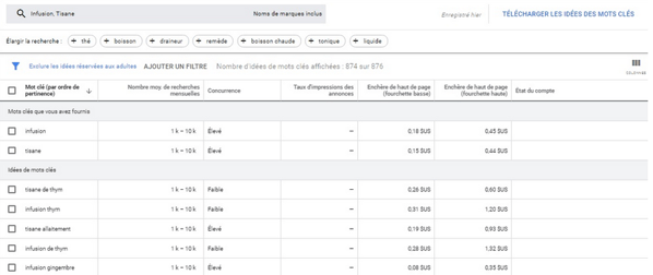 résultats mots clés google keyword planner