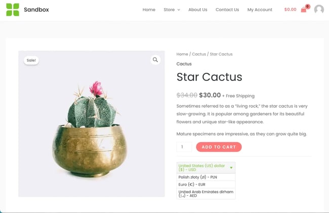 woocommerce multi-currency plugin step 4 