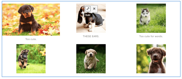 How to update photo gallery in WordPress post