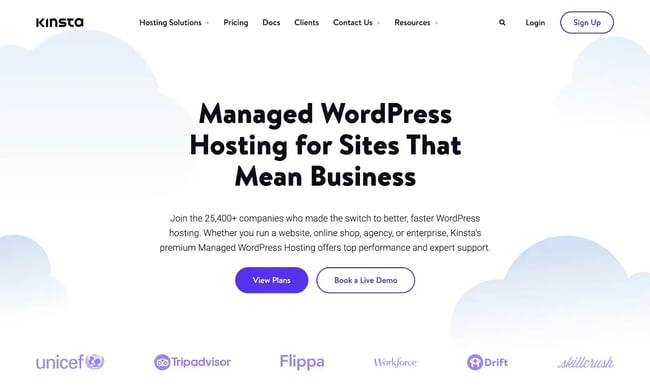 website color themes, kinsta