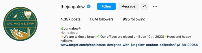 Creative Instagram bio ideas, jungalow