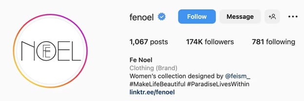 Creative Instagram bio ideas, fe noel