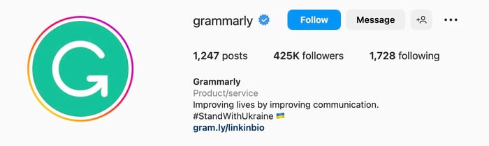 Instagram bio ideas for SaaS businesses, grammarly