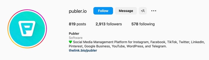 Instagram bio ideas for SaaS businesses, publer