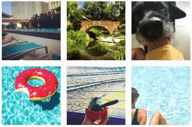 instagramcontest_20-1