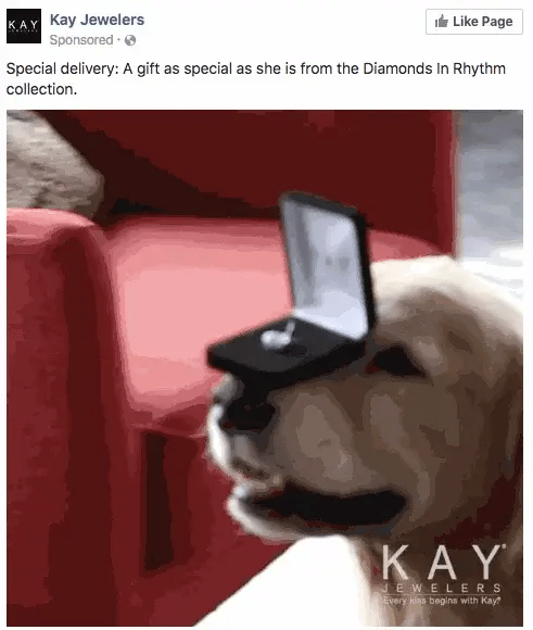 kayjewelersfinalgif