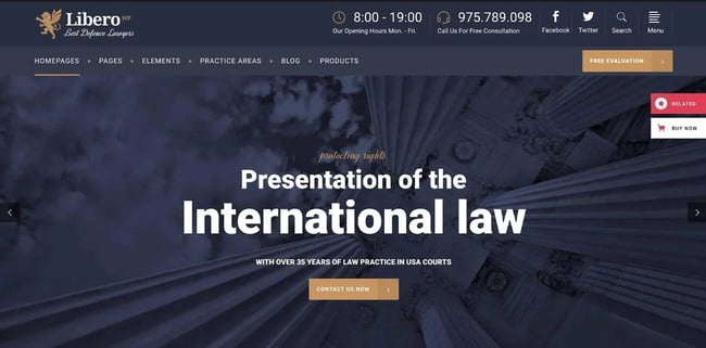 wordpress law firm themes: libero