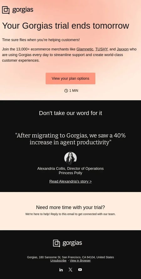 lead nurturing email example from gorgias