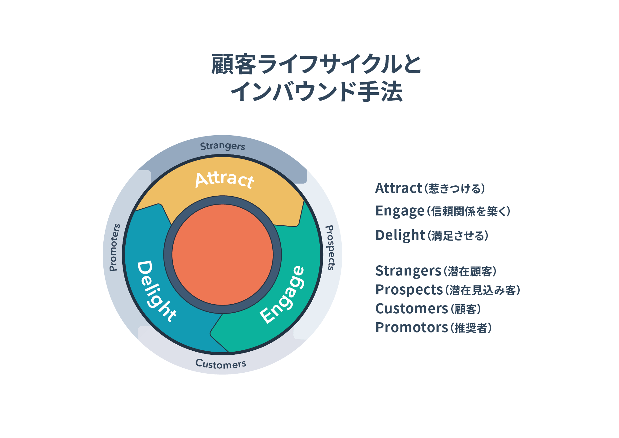 lifecycle-2