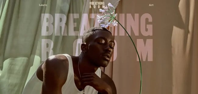 make breathing room landing page with brown website designmake breathing room landing page with brown website design