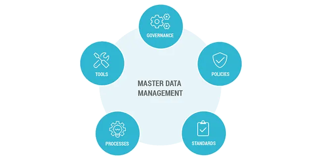 Diagram of master data management components: governance, policies, standards, processes, and tools