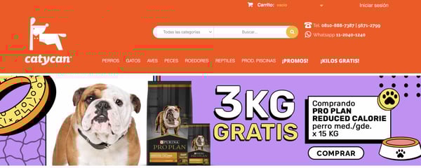 Ejemplo de perfil de cliente ideal de Catycan