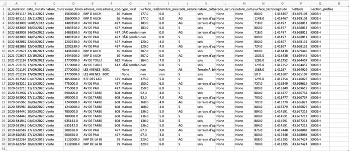 extrait de dataset dvf