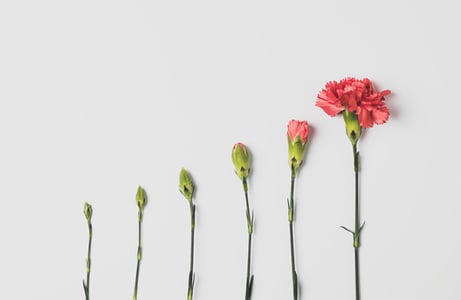 RSE représenté par une fleur qui éclot