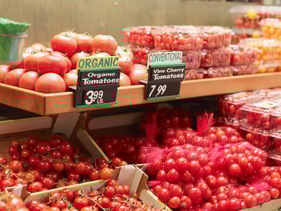 fijación de precios