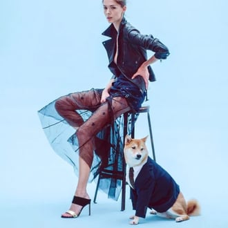 mens animal influencer