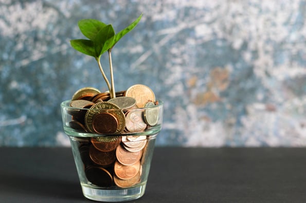 Small green plant growing out of a glass full of bronze and copper coins