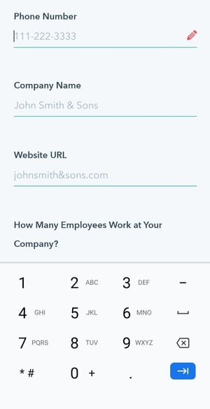 mobile form design, input constraint displaying a numeric keyboard