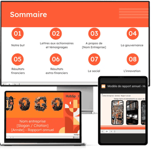 modele-rapport-annuel-1