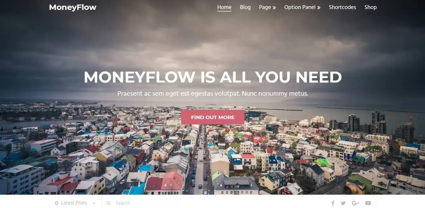 wordpress affiliate marketing theme, moneyflow