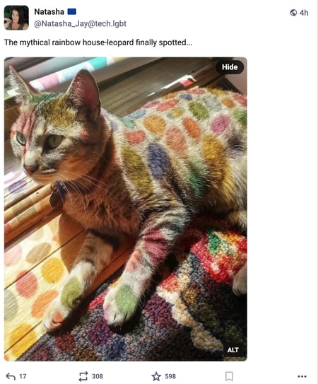 new social media platforms, mastodon