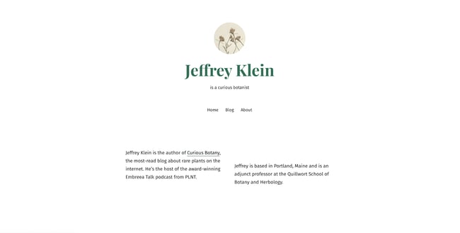 newsletter wordpress themes_122022