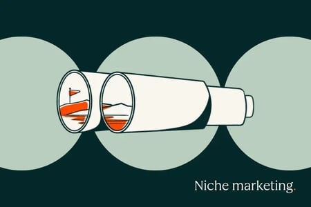 developing a niche marketing strategy