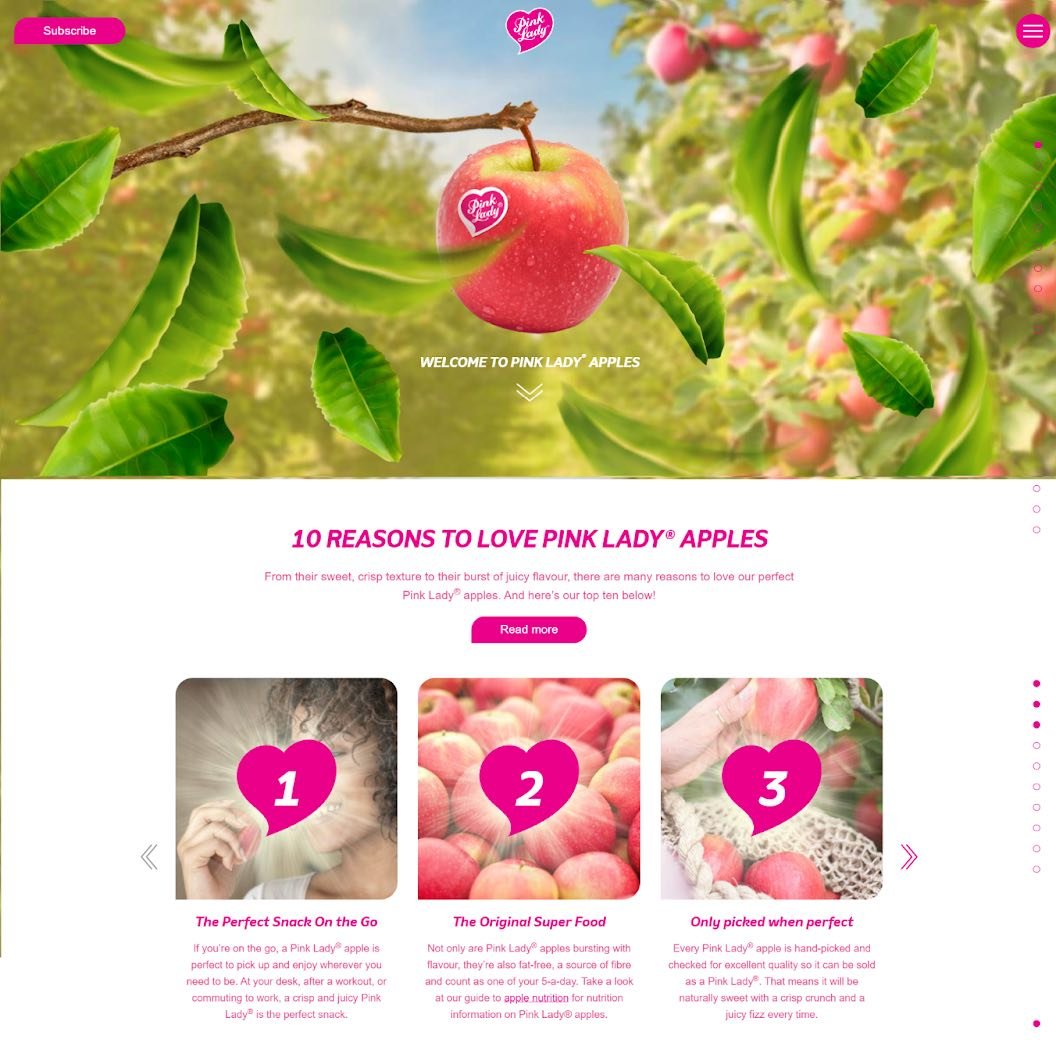 16+ Pink Website Design Examples We Love [+ How To Make Your Own]
