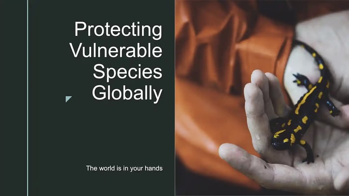 Presentation Cover Page Example 1
