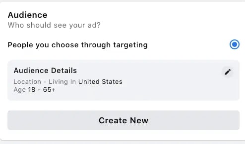 The Audience section of a form when you're filling out an ad on Facebook
