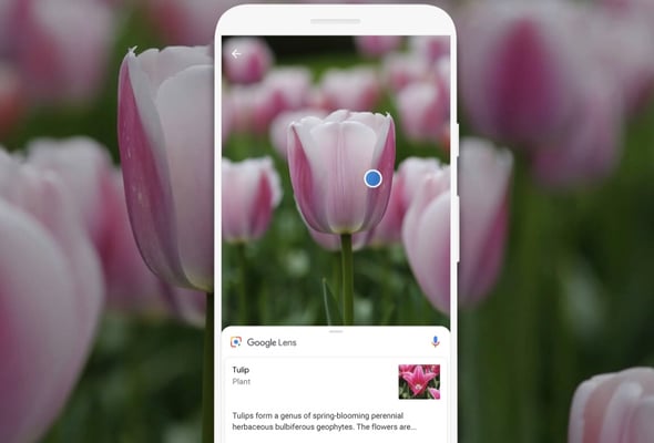 putting-google-lens-to-the-test