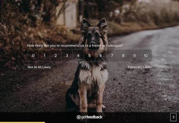 GetFeedback quiz maker