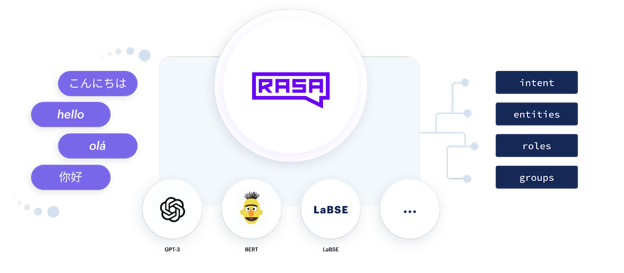 rasa