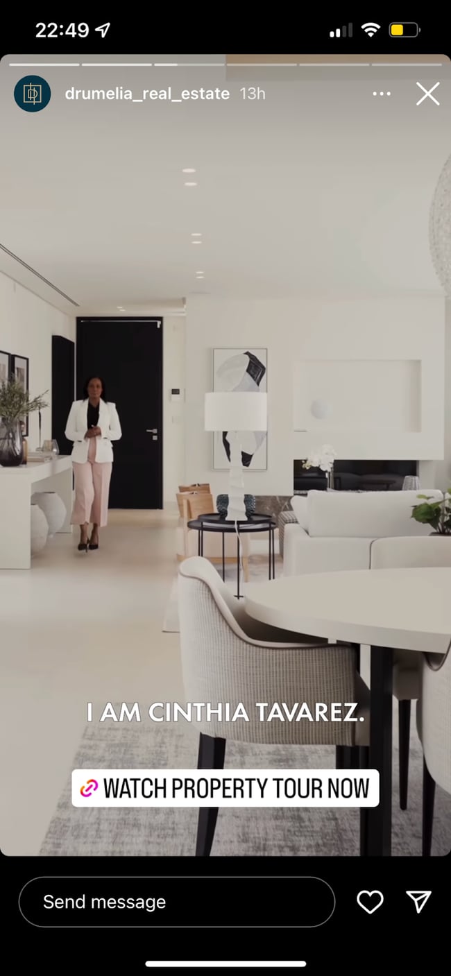 Drumelia Real Estate property tour on Instagram stories