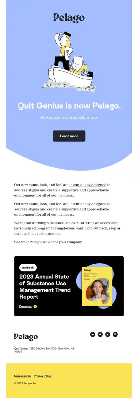 Rebranding Announcement Email Examples - Pelago