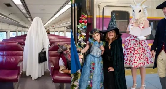 salem-train-mim