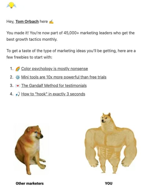 screenshot of tom orbachs welcome email showing personal branding, immediate value delivery with 4 marketing tactics, and community building with doge meme