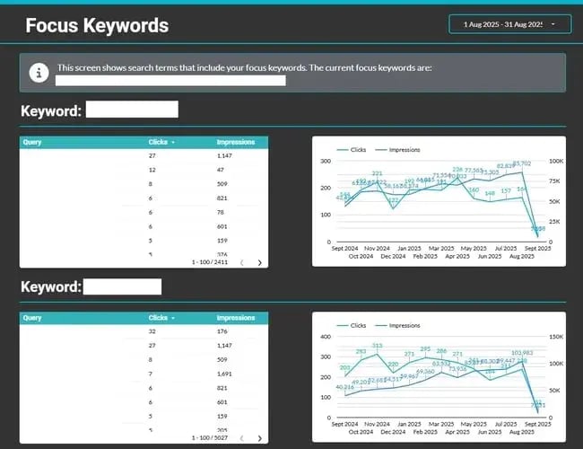 seo reporting, screenshot of the focus keywords page from an seo report template.