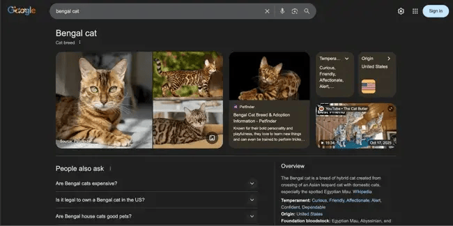 seo trends  googles multimodal search results