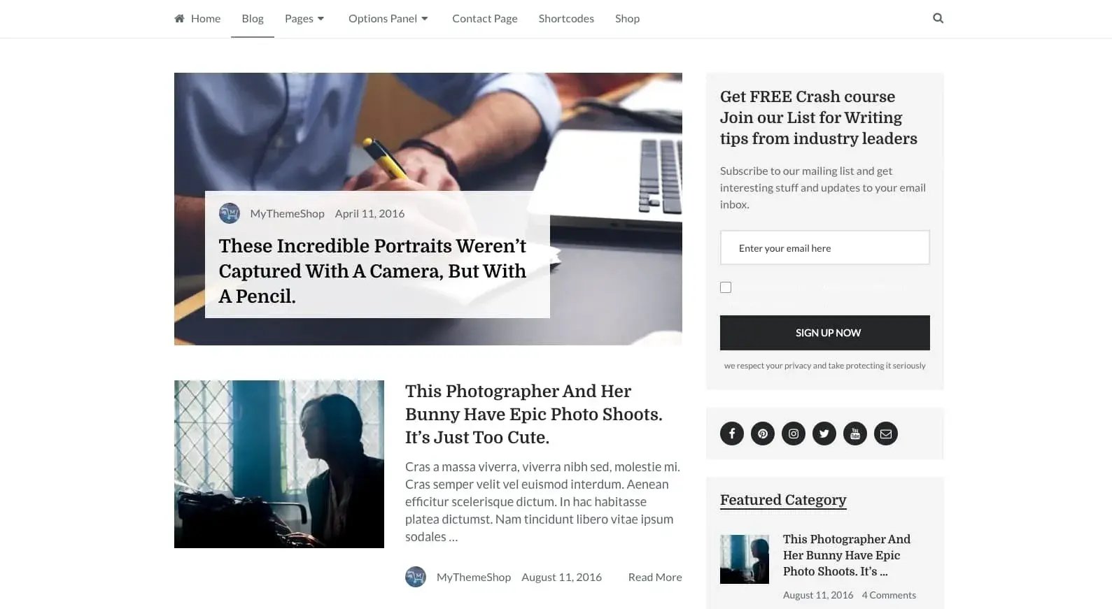 demo of an seo optimized wordpress theme: writer