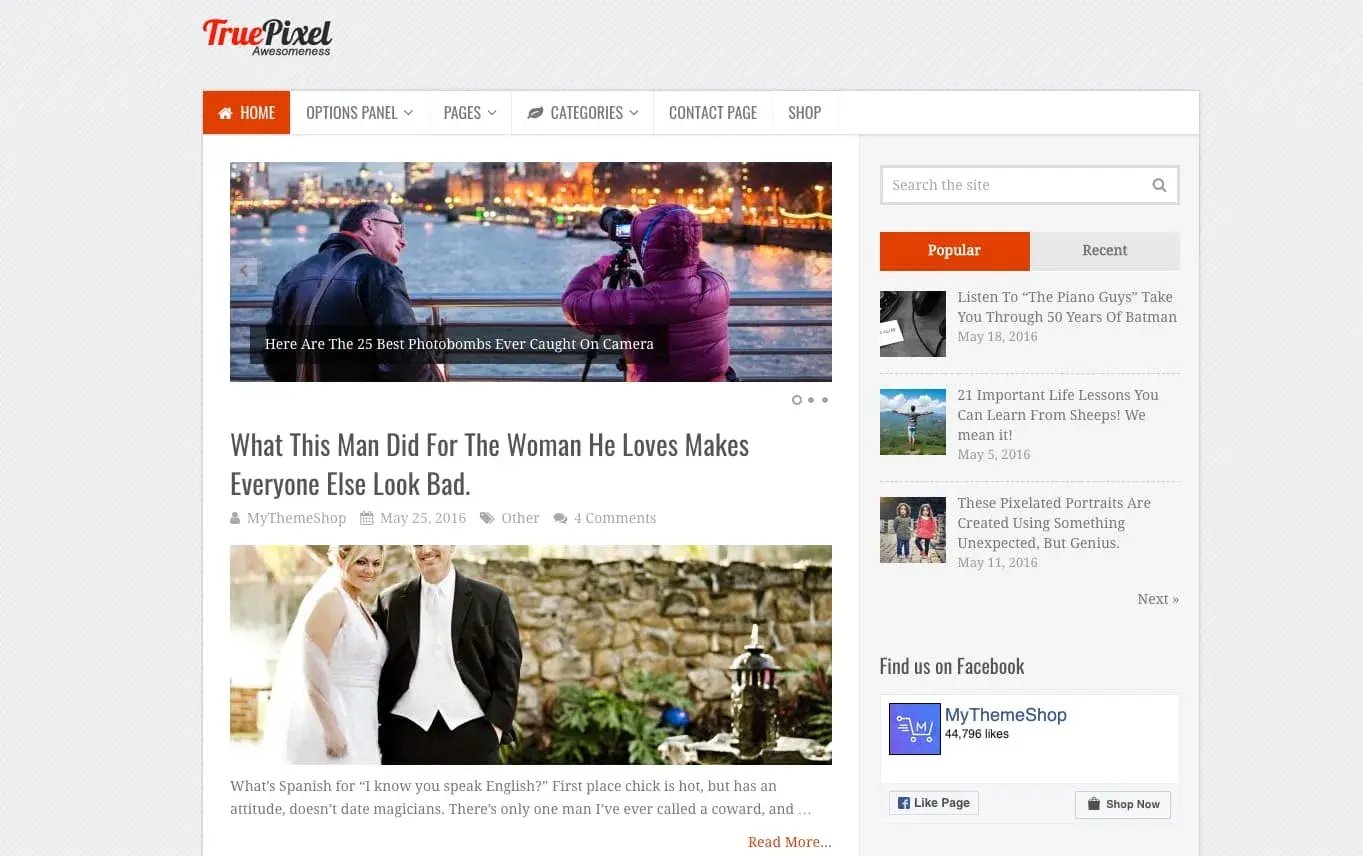 demo of an seo optimized wordpress theme: truepixel