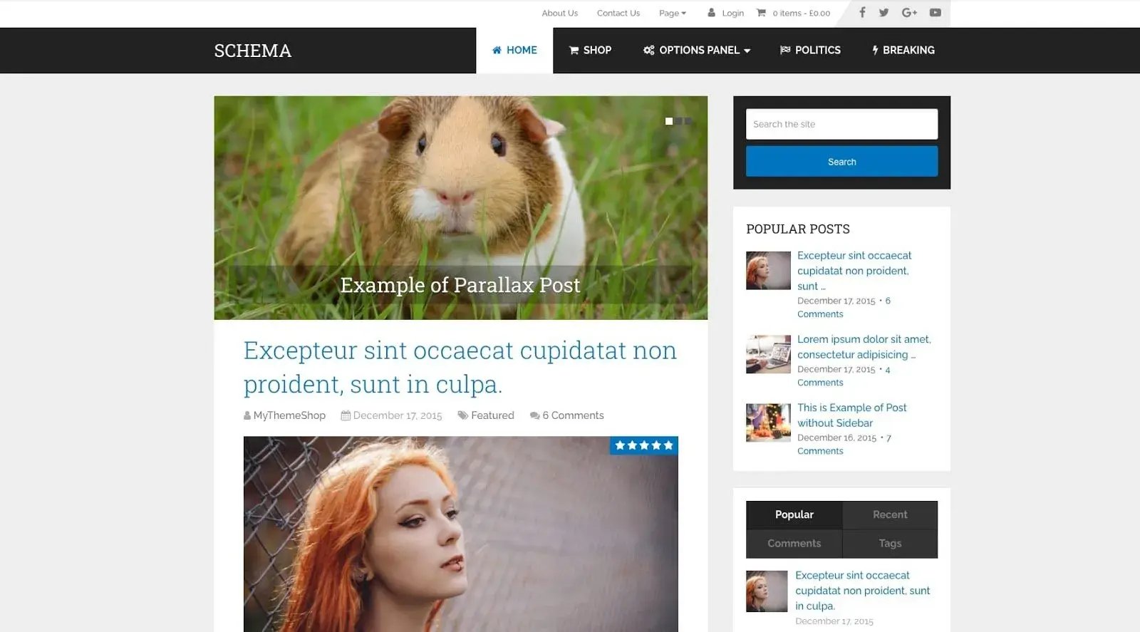 demo of an seo optimized wordpress theme: schema