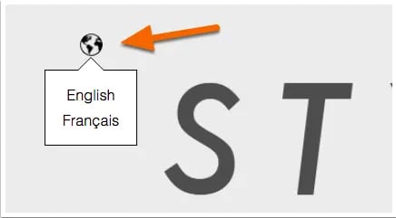 language switcher module